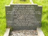 image of grave number 647888